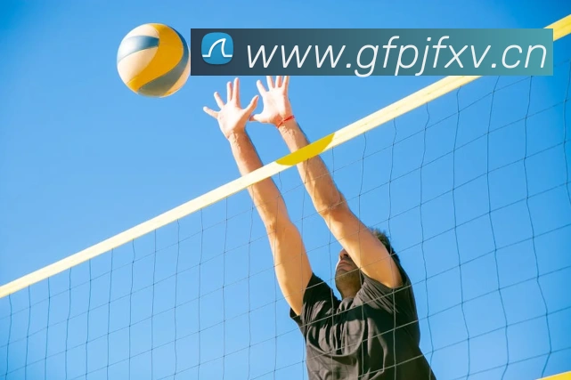 华体app个人登录入口平台生态图